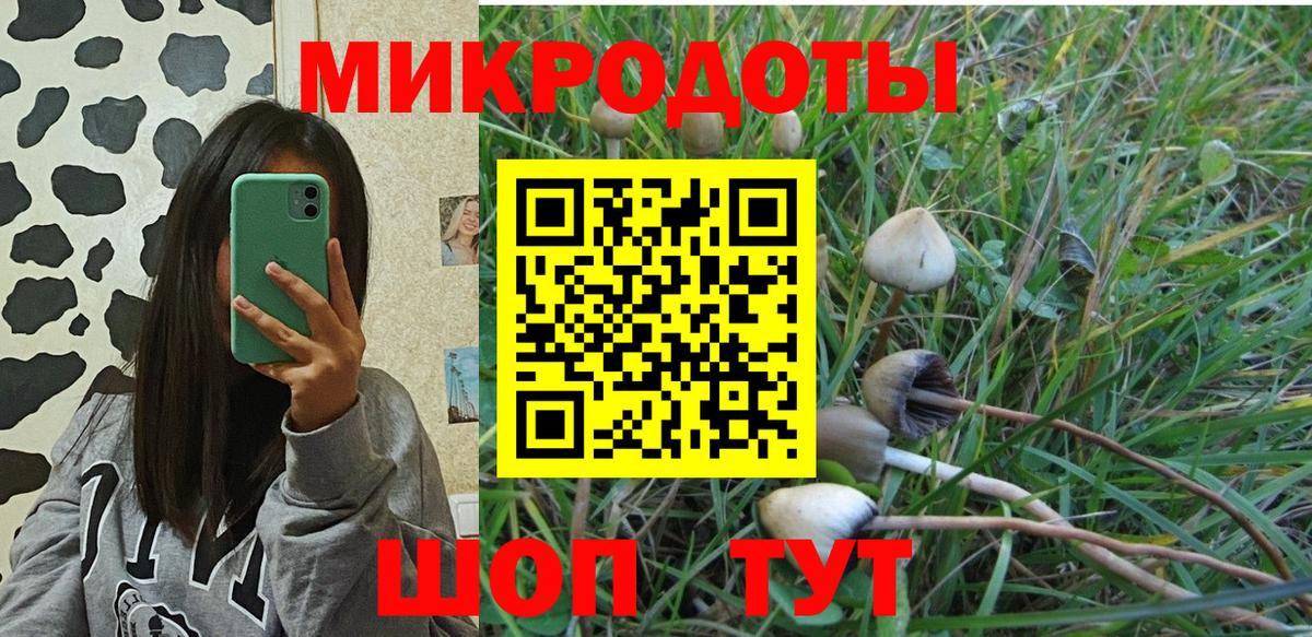 Галлюциногенные грибы Psilocybine cubensis  Псилоцибиновые грибы прущие грибы  Нижний Тагил  Вход с VPN 